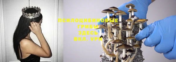 mix Алексеевка