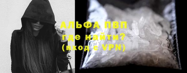 стафф Алексин