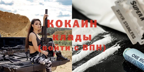 стафф Алексин