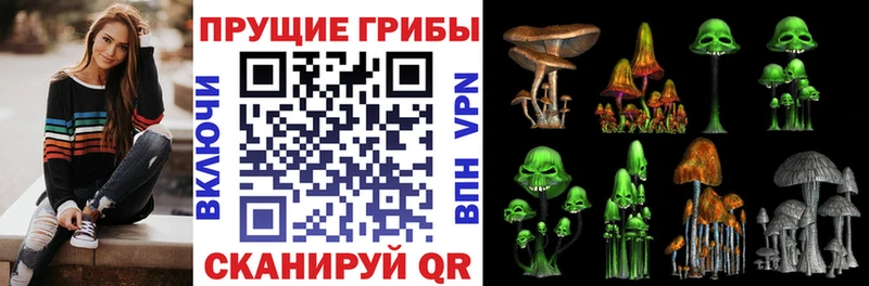 Галлюциногенные грибы Cubensis  что такое наркотик  Константиновск 